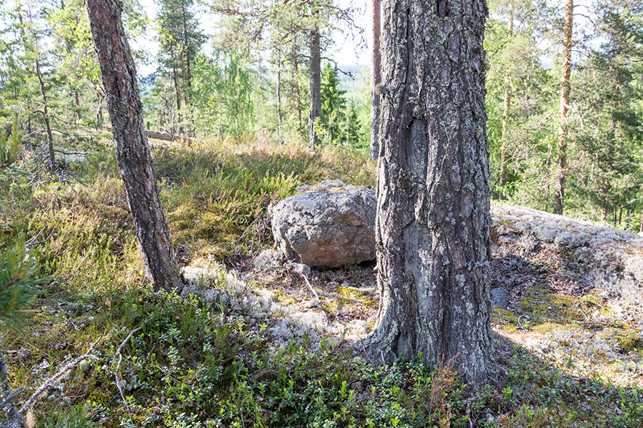 Pilkkavuori, Leppävirta