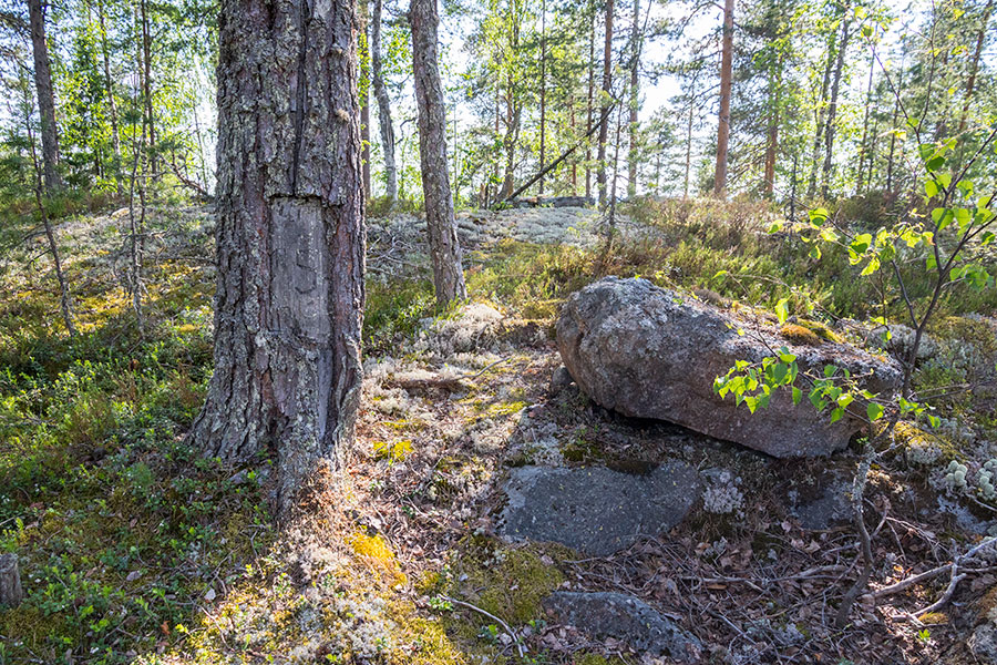 Pilkkavuori, Leppävirta