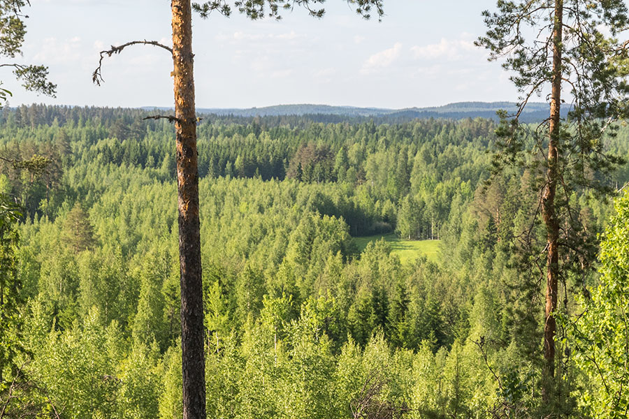 Pilkkavuori, Leppävirta