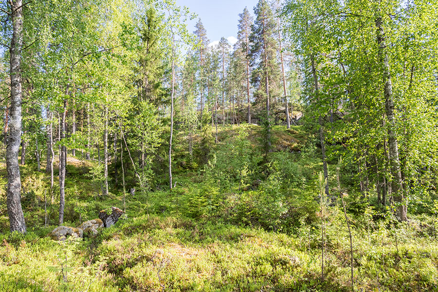 Pilkkavuori, Leppävirta