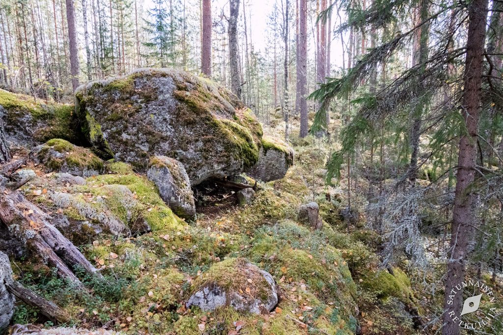 Leväniemi, Jäppilä