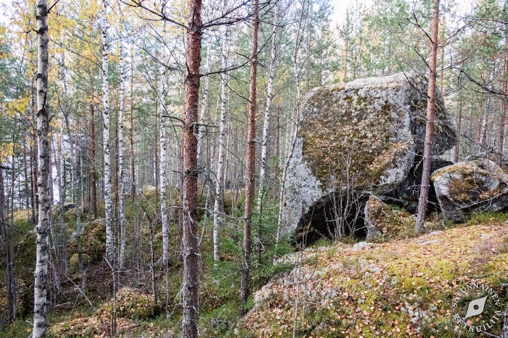 Leväniemi, Jäppilä