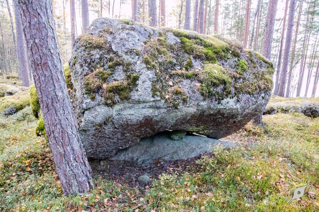 Leväniemi, Jäppilä