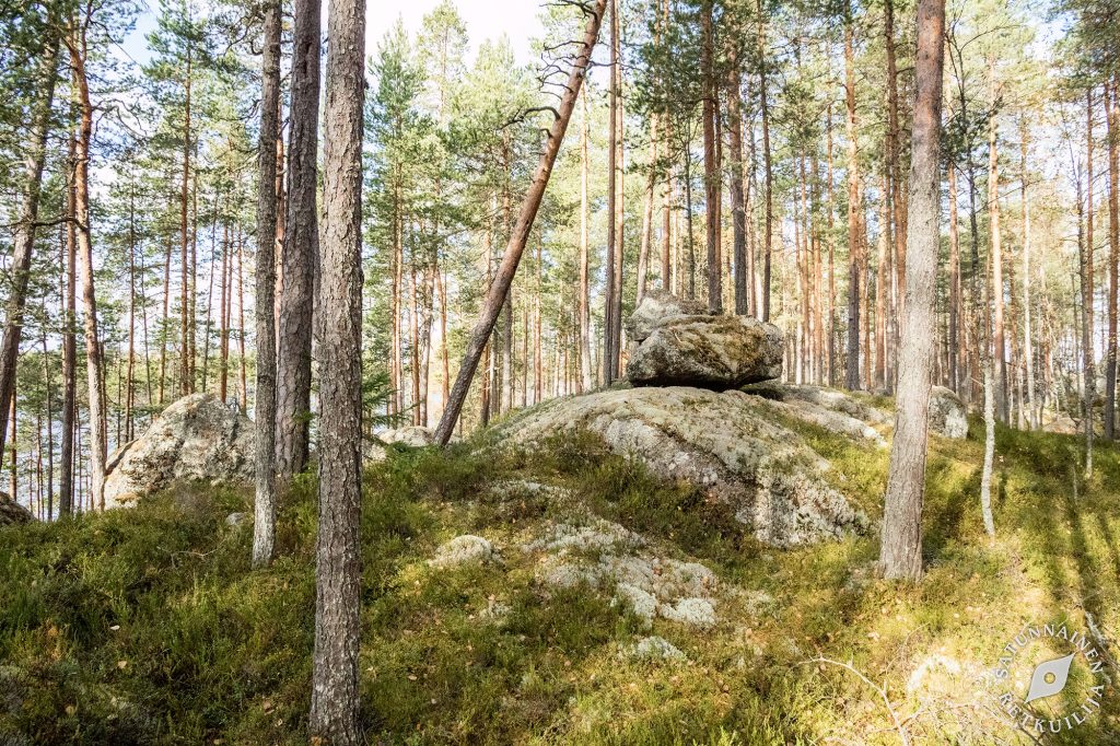 Leväniemi, Jäppilä