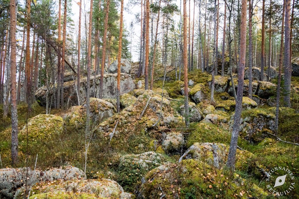 Leväniemi, Jäppilä