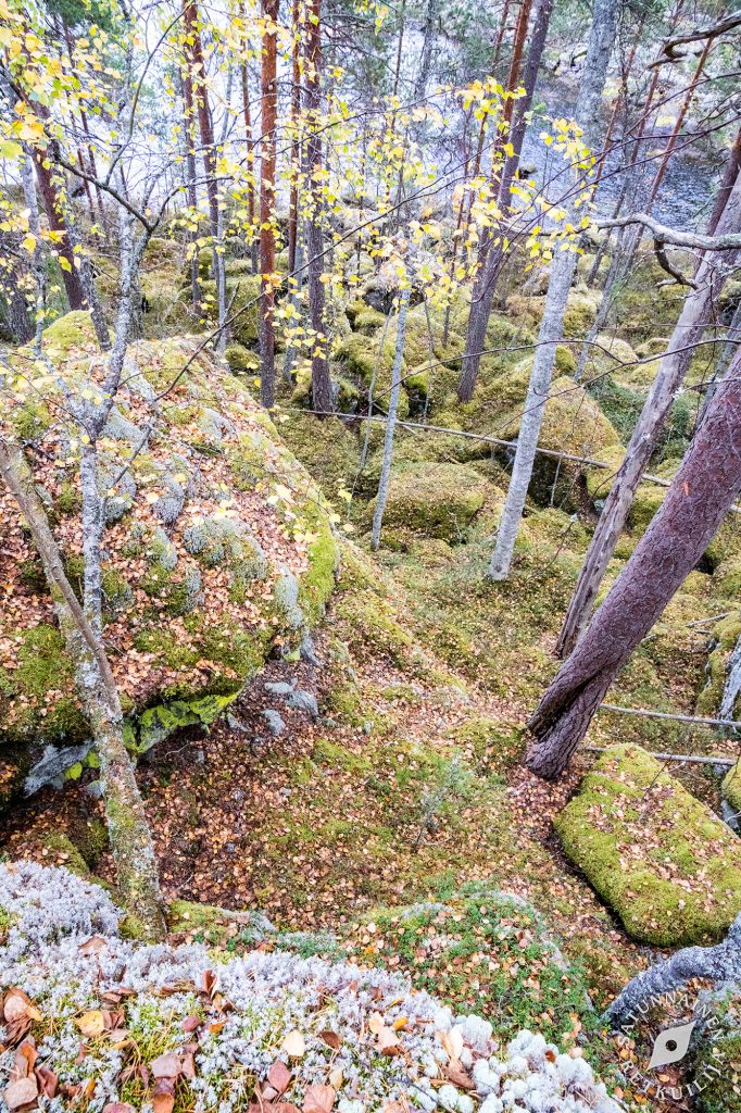 Leväniemi, Jäppilä