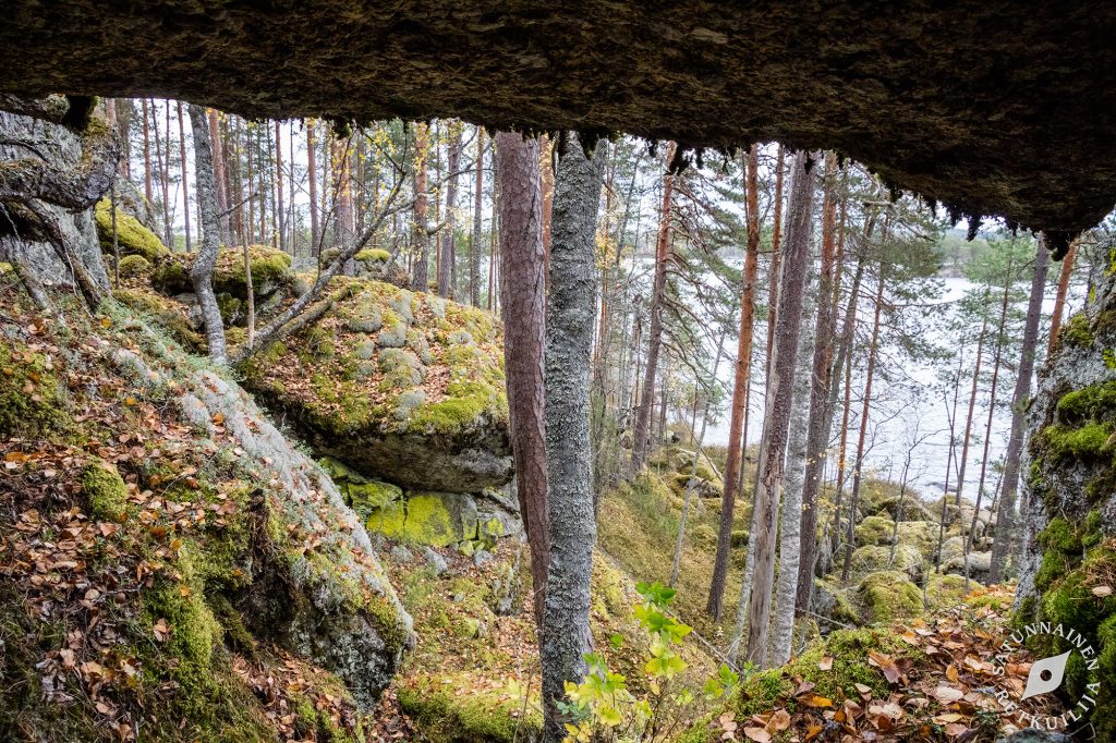 Leväniemi, Jäppilä