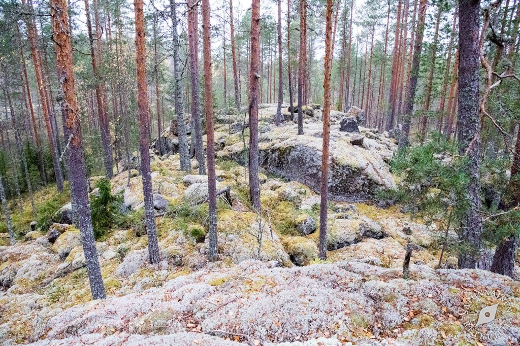 Leväniemi, Jäppilä