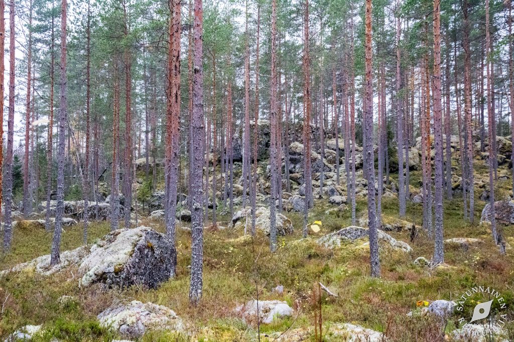 Luola1, Leväniemi, Jäppilä