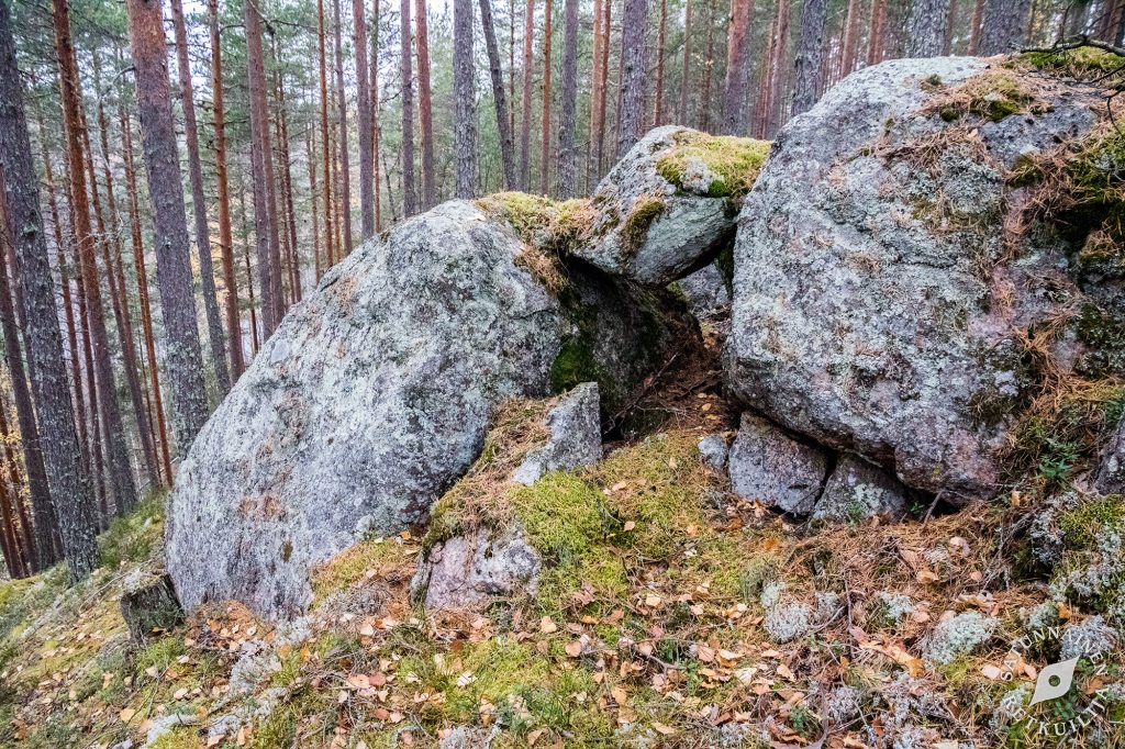 Kivi rakosessa, Leväniemi, Jäppilä