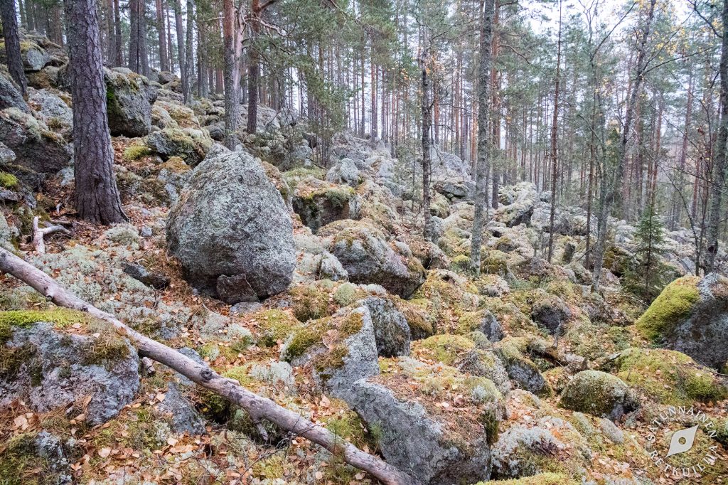 Pienempi vuoren pirunpeltorinne, Leväniemi, Jäppilä