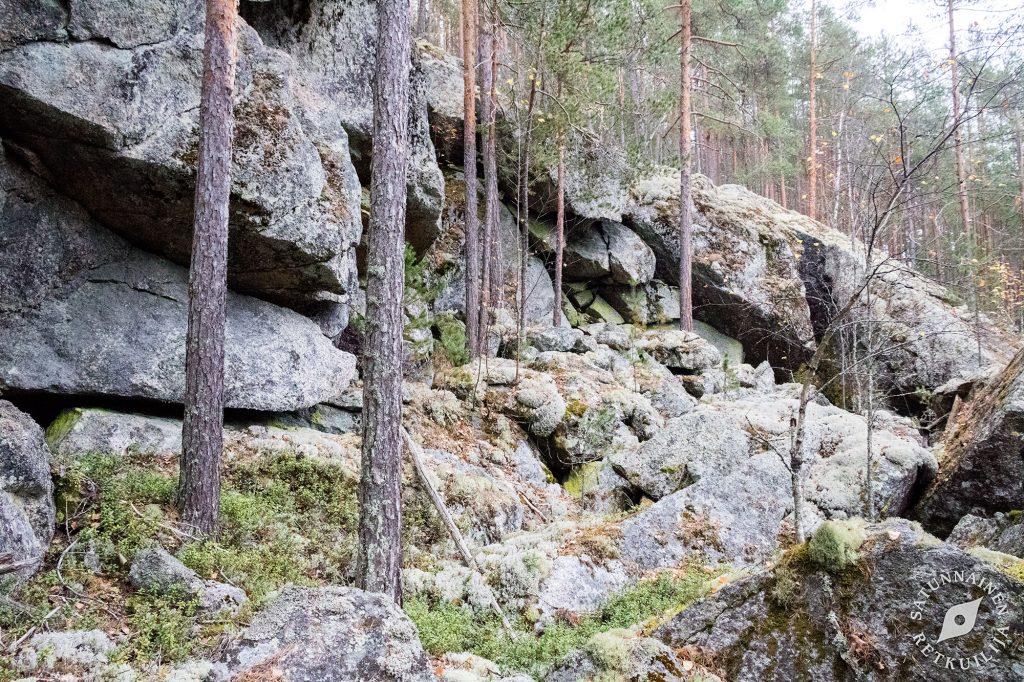 Vuorilammen rannan jyrkänne, Leväniemi, Jäppilä