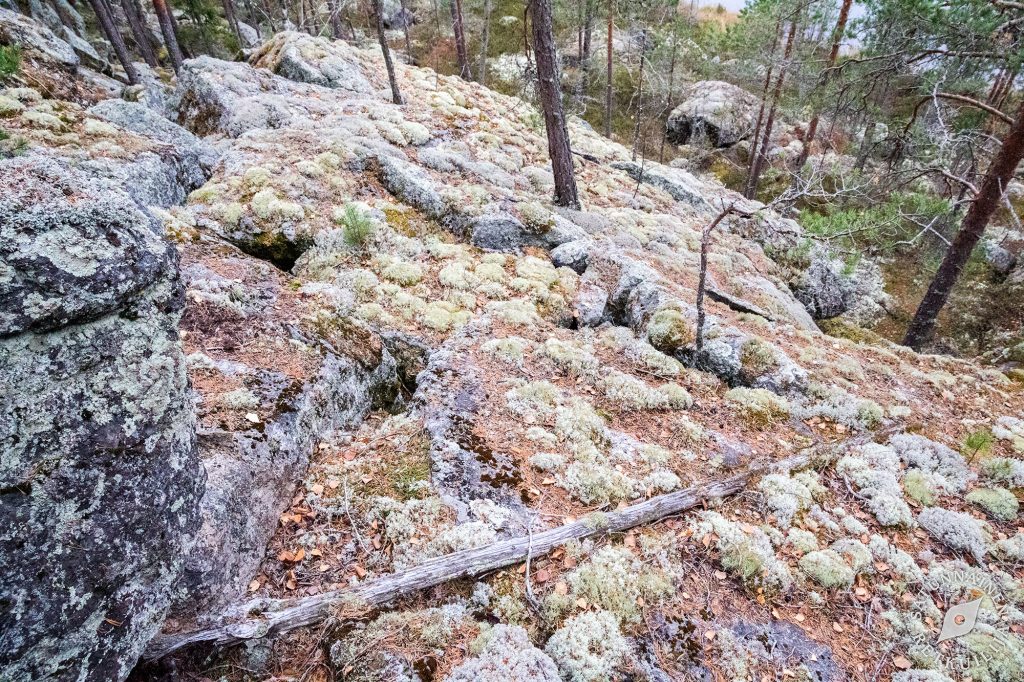 Jyrkänteen halkeaman päällä, Leväniemi, Jäppilä