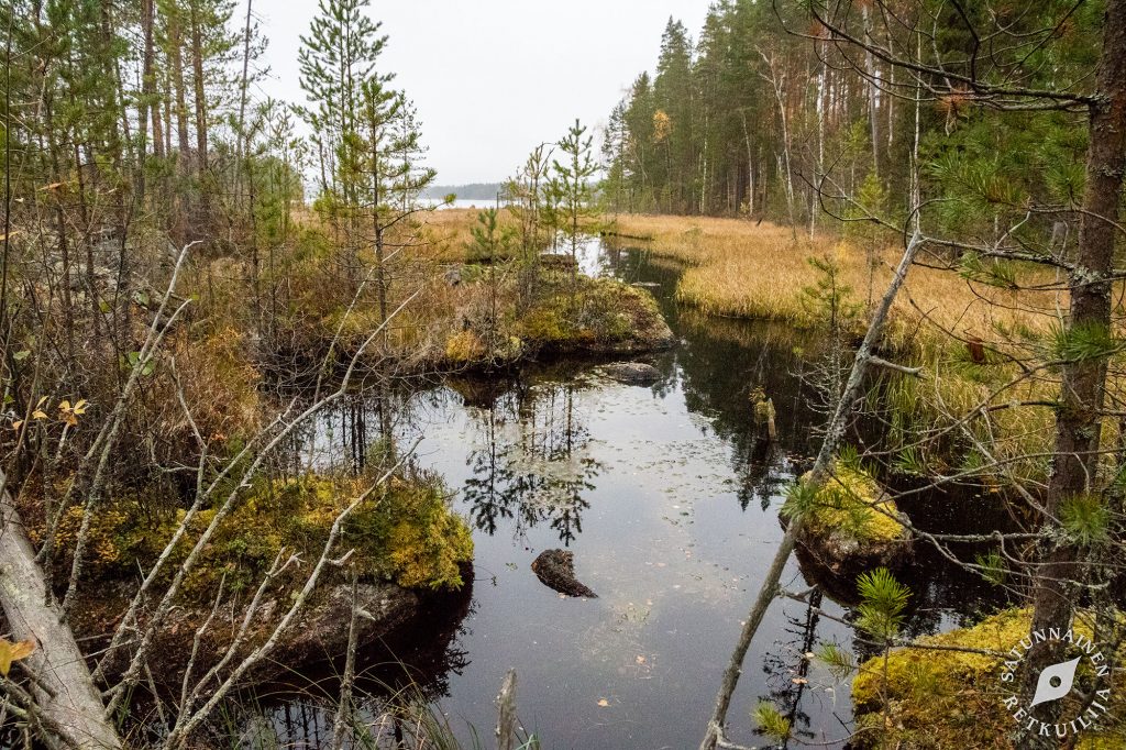 Puronsuu, Leväniemi, Jäppilä