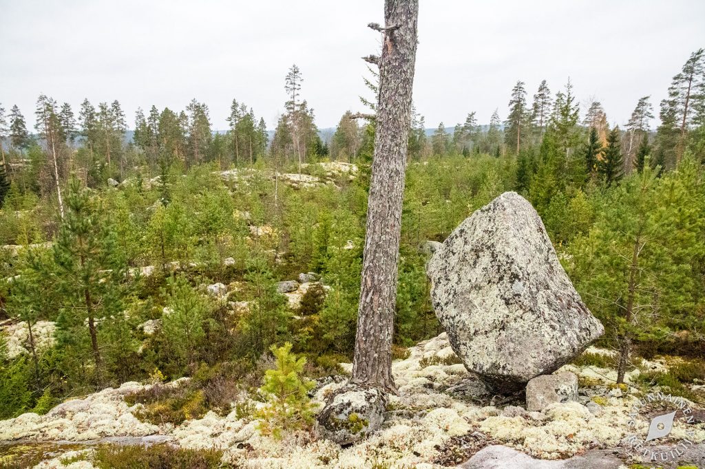 Lapinmäki, Kolovesi