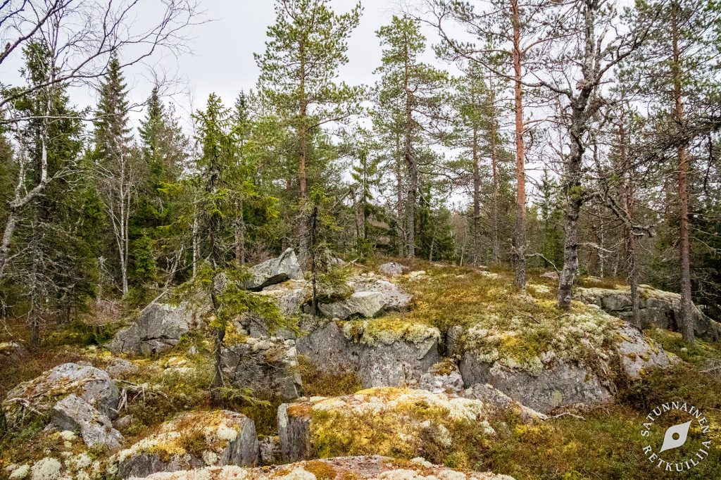 Välimäki, Tahko, Nilsiä