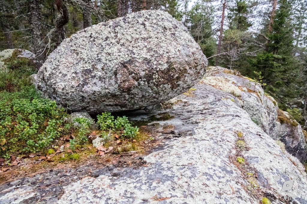 Välimäki, Tahko, Nilsiä