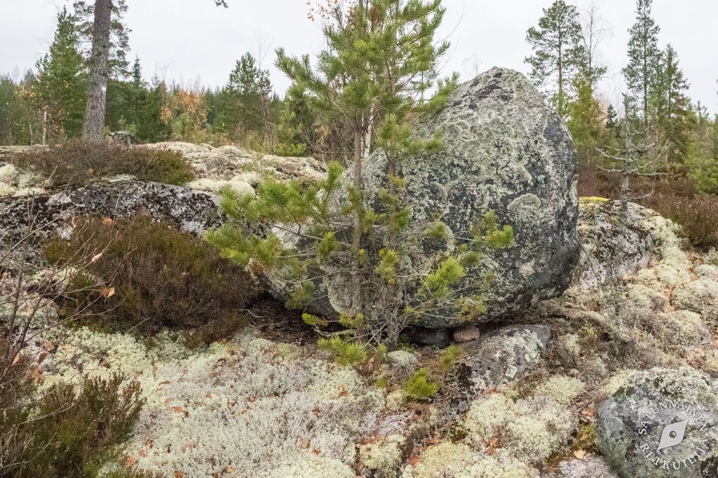 Isonkivenmäki, Kolovesi