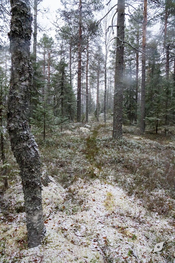 Välimäki, Tahko, Nilsiä