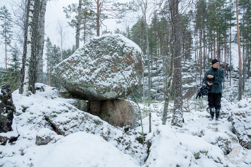 Kivikurun seutua, Jäppilä