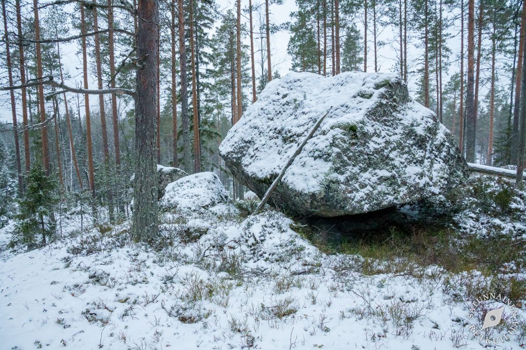 Kivikurun seutua, Jäppilä