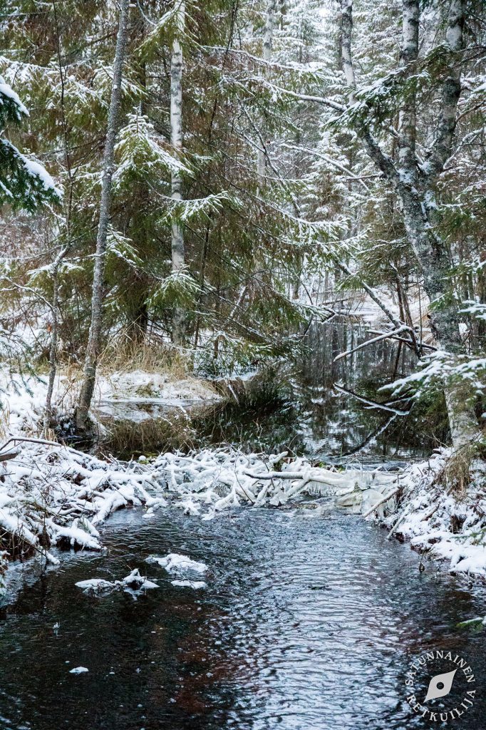 Kiurulampi, Heinävesi