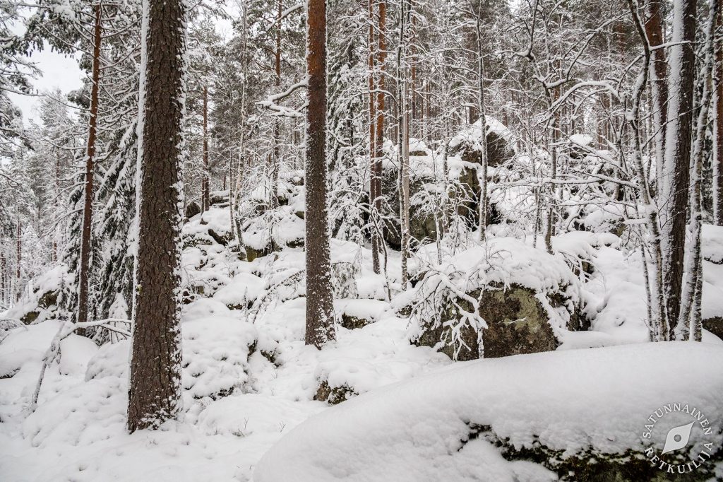 Tulilahti, Jäppilä