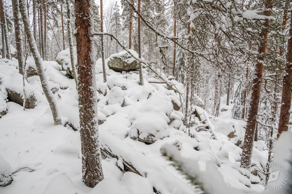 Tulilahti, Jäppilä