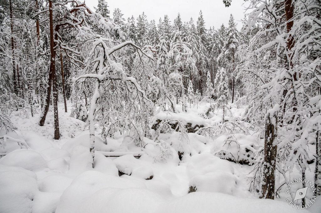 Tulilahti, Jäppilä