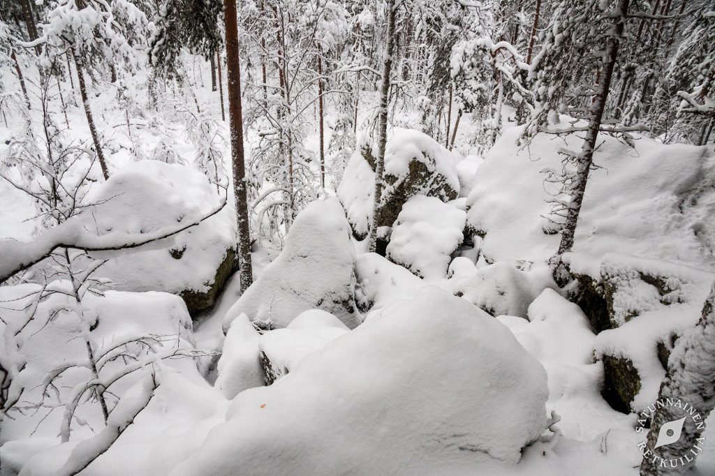 Tulilahti, Jäppilä