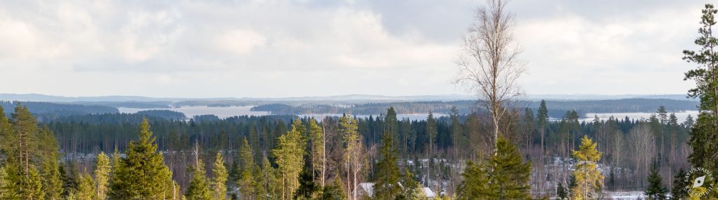 Vanuvuori, Kuopio