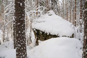 Lumikenkäilyä Leväniemellä, Jäppilä