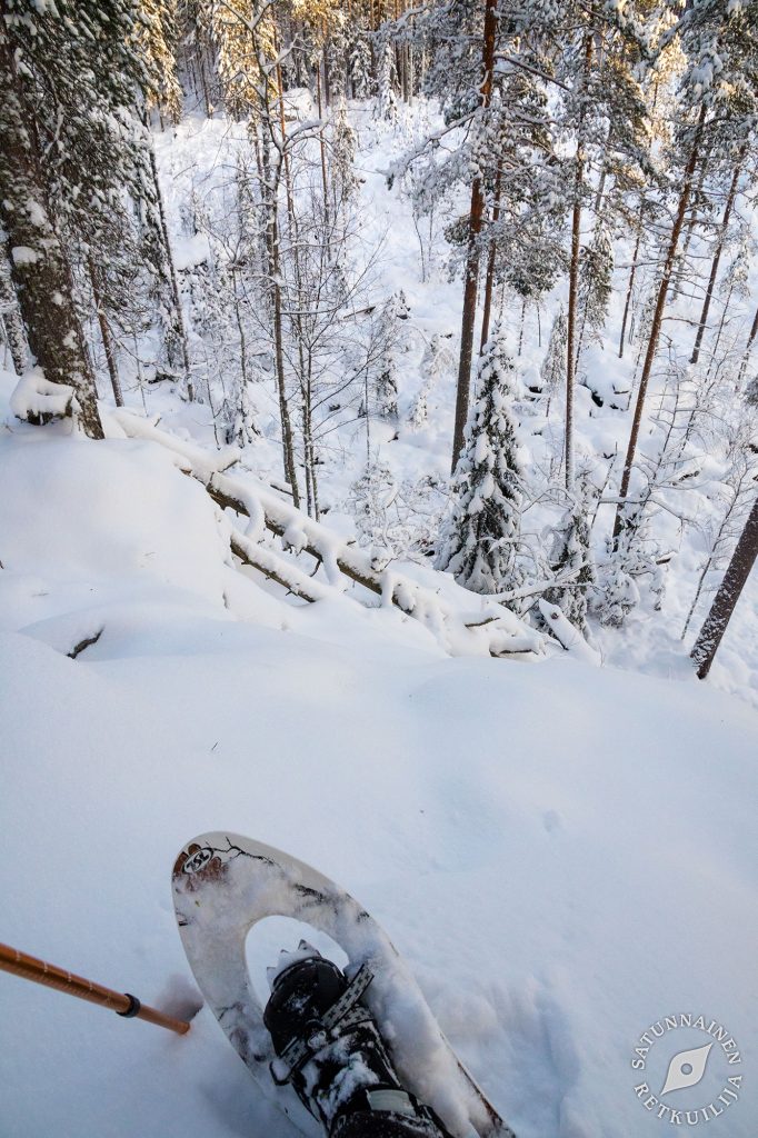 Leväniemi, Jäppilä