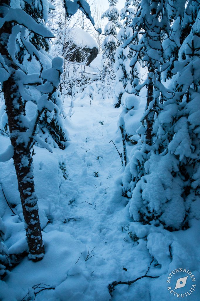 Leväniemi, Jäppilä