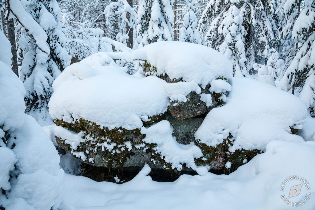 Leväniemi, Jäppilä