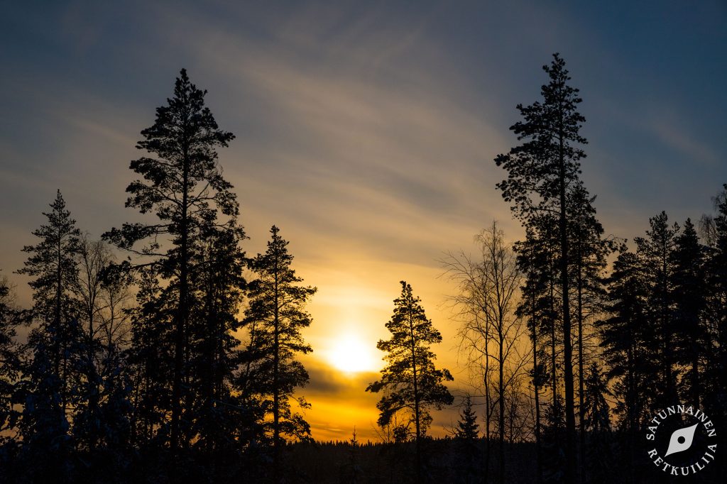 Leväniemi, Jäppilä