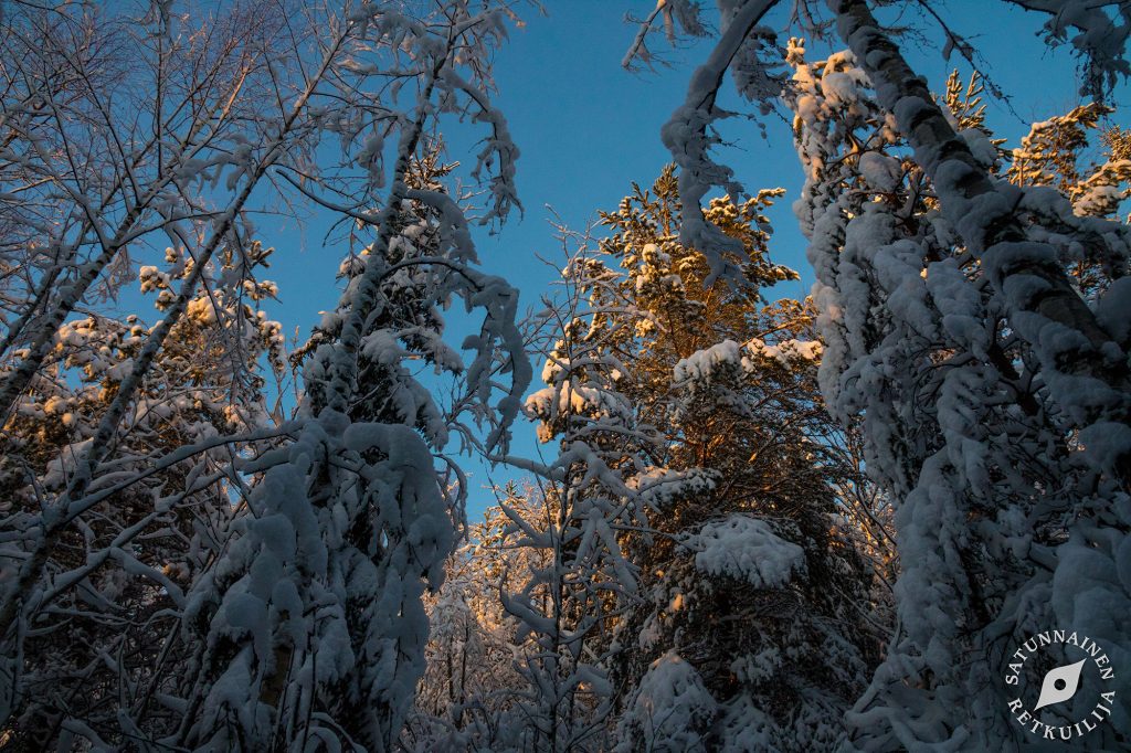 Leväniemi, Jäppilä