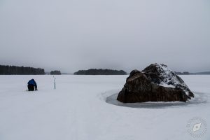 Luonnon päivän retki Osmankivelle, Leppävirta