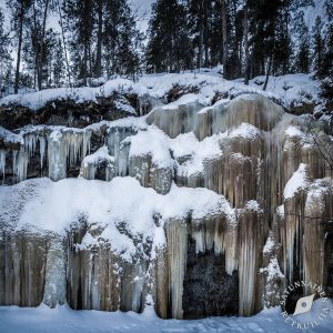 Potkukelkkailua Sorsaveellä – Kuvajanlahti – Iso-Hakonen – Kuikka – Kuvajanniemi, Leppävirta