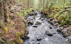 Kuolemanjoen Ränni-Riikan Riikankoski, Kohmansalo, Leppävirta