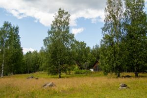 Paimensaaren perinnemaisemassa Suvaksella, Tuusniemi