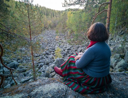 Jäppilän ja Joroisten vanhojen metsien monimuotoinen luonto