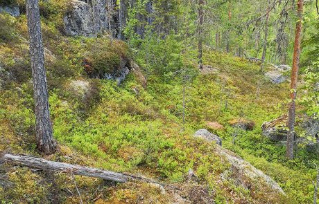 Näkymä kallioseinämän ja rotkon väliselle terassille.