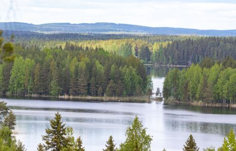 Näkymä Syvävuorelta Paljakkkavedelle, jossa näkyy pikku saari kahden saaren välissä.