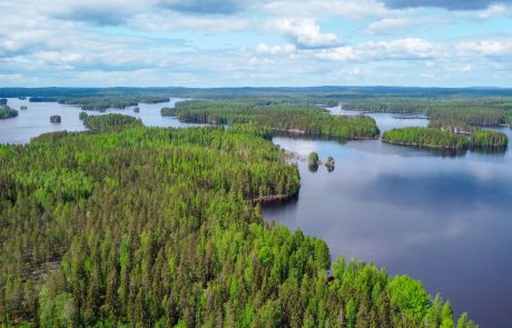 Kopterikuva Syvävuoren päältä Paljakkavedelle. Näkymässä kesäisen vihreätä saaristoa.